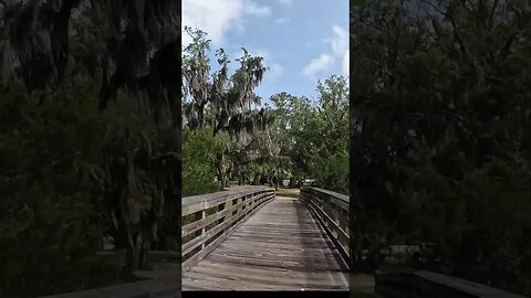 Biking Jekyll Island's Riverfront Bike Path: A Slack Tide Short #shorts