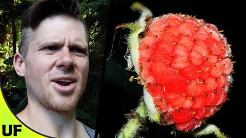 Great at first than... Gross?? Thimbleberry Taste Test | Unusual Foods