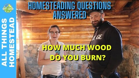 Homesteading for Beginners - How Much Fire Wood? // Homesteading Vlog