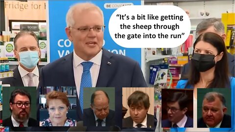 Prime Minister Scott Morrison tries to get the sheep through the gate