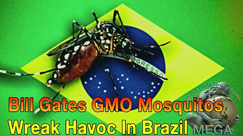 Bill Gates GMO Mosquitos Wreak Havoc In Brazil - Bowne Report