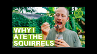 Why I Ate the Squirrels - Eating Food from My Garden