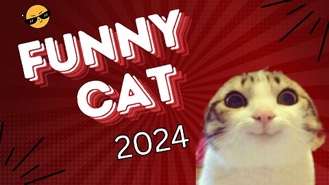 Cats Funny Video 2024 Funny Animals Video Funny Cat Dance