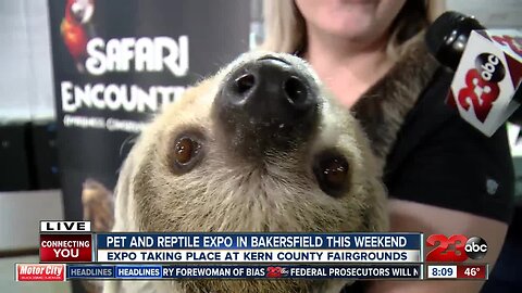 Pet and Reptile Expo brings sloths, gators and more to fairgrounds