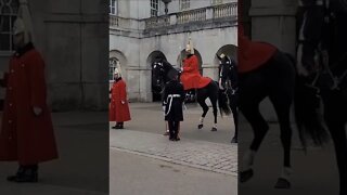 inspection of mounted horses #horseguardsparade