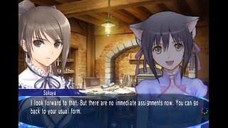 Lets play Shining Blade P3 (psp) And we have a cat girl! Heck yeah!