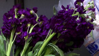 Flowers for seniors in nursing homes