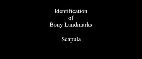 Identification of Bony Landmarks - Scapula