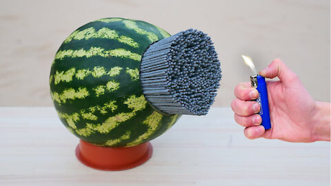 Entertainment Shockwave Experiment 🎇🧨| 5000 Sparklers Vs Watermelon | MetDaan DIY
