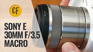 Sony E 30mm f/3.5 Macro lens review with samples