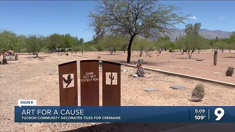 Pima County Art for a Cause