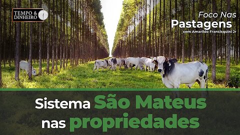 Foco nas Pastagens de hoje aborda o sistema São Mateus nas propriedades