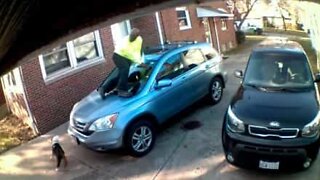 Scared delivery man jumps on hood to escape dog