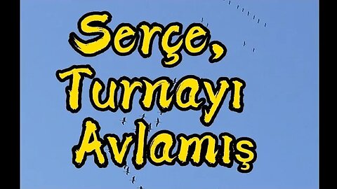 #menkıbe EN GÜZEL MENKIBELERDEN BİR BÖLÜM / "Serçe, Turnayı Avlamış"