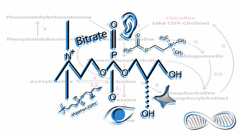 Choline vs Alpha GPC: Smart Drugs of Many Talents