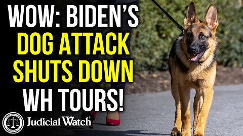 WOW: Biden’s Dog Attack Shuts Down WH Tours!