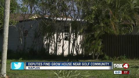 Deputies Find Grow House Near Golf Community