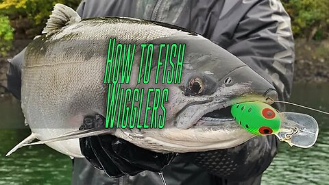 How To Salmon Fish With Brad's Wigglers In Rivers & Creeks
