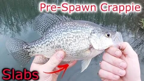 Catching Spring Pre-spawn Crappie (fishing while snowing?)