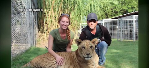 Video shows feds hauling animals away from 'Tiger King' star Jeff Lowe's property