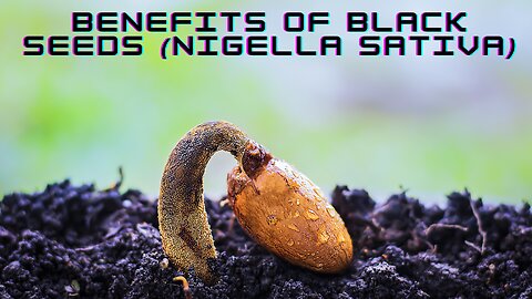The Benefits of black seeds (Nigella sativa)