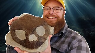 Huge fossil skull! 4 million year old fossil revealed [My rarest fossil yet - New Zealand]