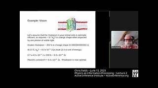 "Physics as Information Processing" ~ Chris Fields ~ Lecture 2