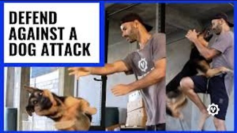 HOW TO DEFEND YOURSELF AGAINST A DOG ATTACK (DOG TRAINING 001)