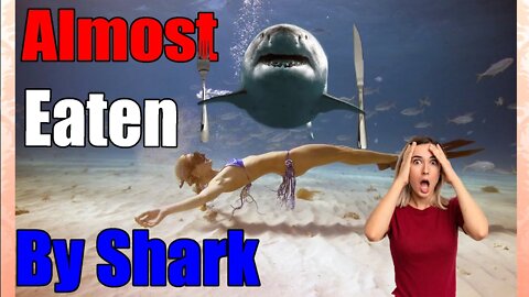 Video of Marine Scientist Almost Diving into Shark’s Mouth Reaction