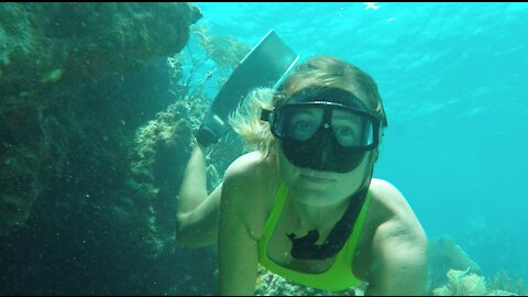 British Virgin Islands underwater experience