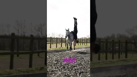 New Video out today #podcast #horses #trickriding