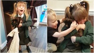 Menina chora ao ser surpreendida com dois gatos no aniversário