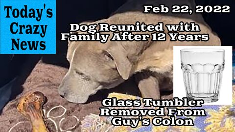 Today's Crazy News - Dog Reunited With Family After 12 Years, Glass Tumbler Removed From Guy's Colon