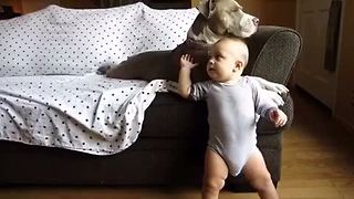 Baby and pit bull share precious interaction