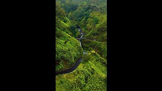 Oahu, Hawaii. Real Nature🐾