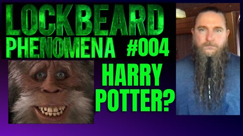LOCKBEARD PHENOMENA #004. Harry Potter?