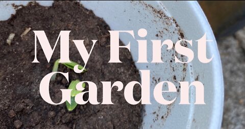 My First Garden | Container Gardening