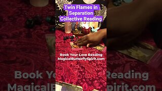 Twin Flame Collective Reading #twinflames #tarotreading #lovereading #2023 #tarotscope