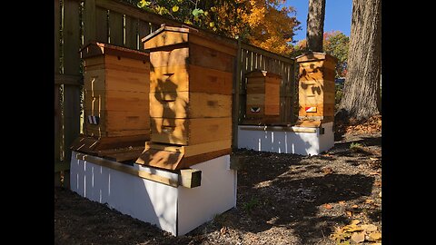 How to build a windbreak for honeybee hives.