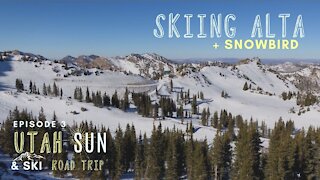 Family Skiing Alta & Snowbird // E3 : Utah Sun & Ski Road Trip