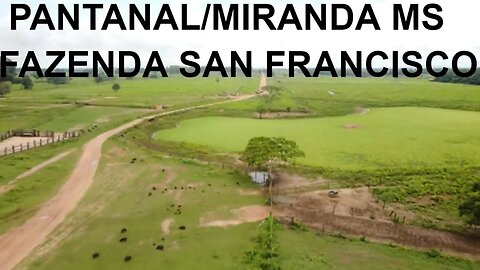 Pantanal (Miranda MS), fazenda San Francisco. Tour @DRONEMASSA