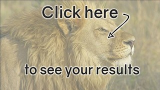 Animal Quiz: Poor Score