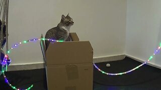 This Is My Box