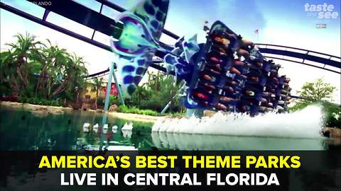 America's best theme parks live in Central Florida | Taste and See Tampa Bay