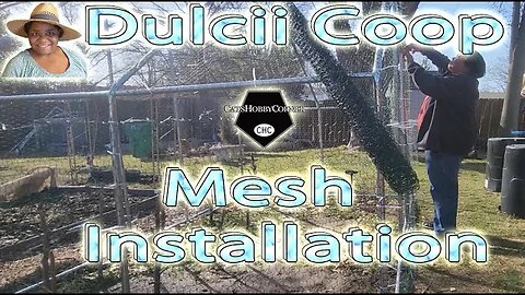 Dulcii #chickencoop Mesh #installation Pt2