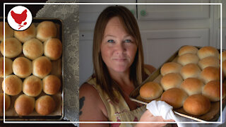 HOMEMADE ROLLS FROM SCRATCH | A Good Life Farm