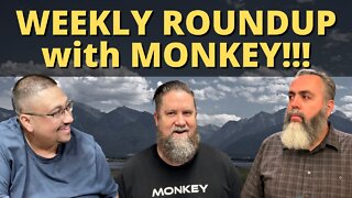 It's a MONKEY roundup!!! In STUDIO!!!