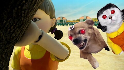 Dogs And Cats VS Squid Game Netflix - Tik Tok Dog & Cat Playing Squid Game - Cute Pets In Squid Game