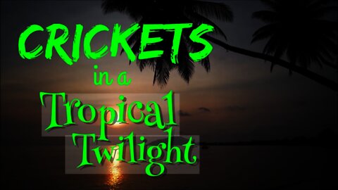 Crickets in a Tropical Twilight | 15 Minutes of Twilight | Ambient Sound | What Else Is There?