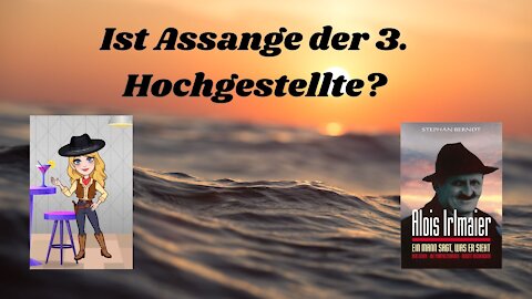 Wird Assange der Auslöser für den 3. WK?